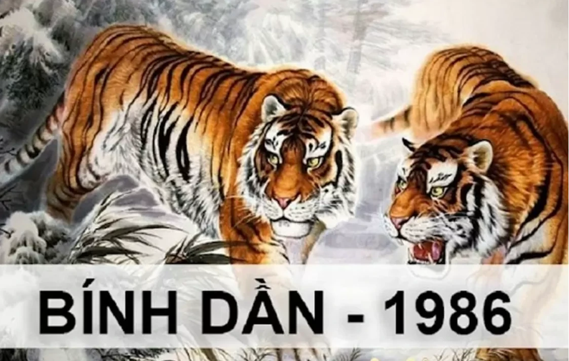 Tuổi Bính Dần 1986 hợp màu gì & cách hóa giải vận xấu 2024