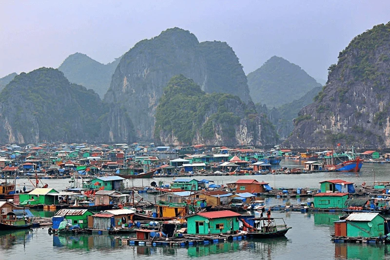 Tour vịnh Lan Hạ nửa ngày - Ngắm hoàng hôn trên du thuyền Panorama