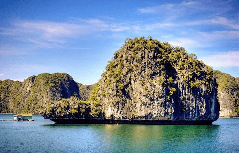 Tour vịnh Lan Hạ nửa ngày - Ngắm hoàng hôn trên du thuyền Panorama