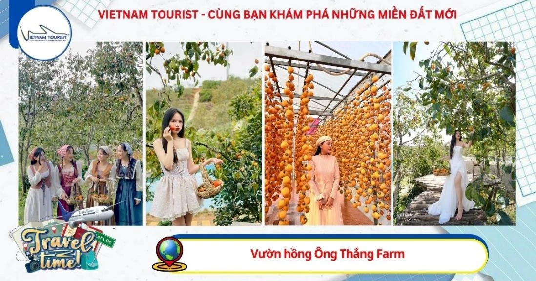 TOUR ĐÀ LẠT 3N3Đ GHÉP ĐOÀN - KHỞI HÀNH TỐI THỨ 5 HÀNG TUẦN