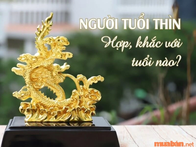 Sinh năm 2012 mệnh gì? Hợp và kỵ màu gì? Hợp tuổi nào?