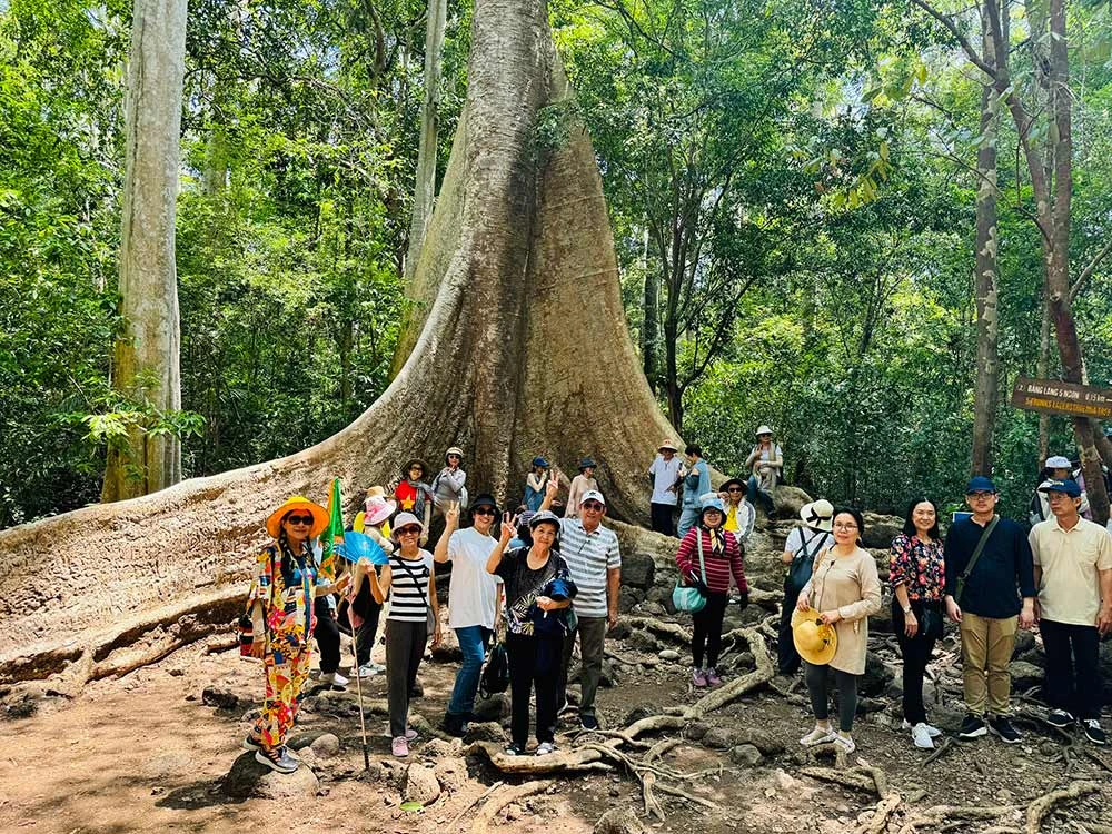 Tour Du Lịch Khám Phá Nam Cát Tiên 1 Ngày