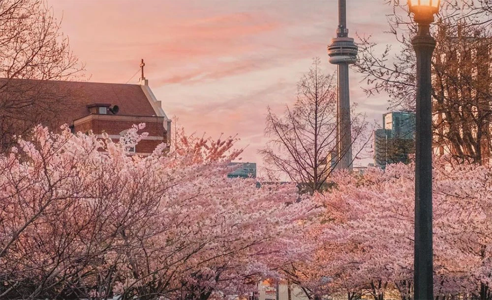 Tour Du Lịch Bờ Đông Canada: Toronto - Thác Niagara - Thousand Island - Ottawa - Montreal