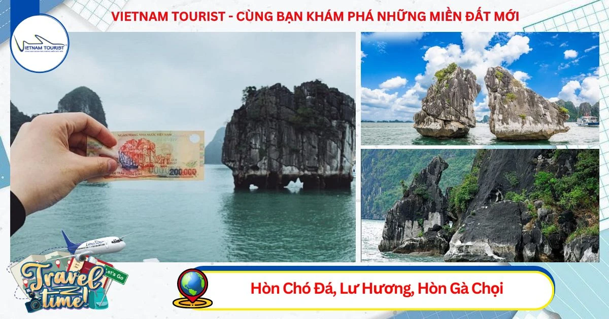 TOUR HẠ LONG 1 NGÀY CAO CẤP - TÀU ĐẲNG CẤP 5 SAO