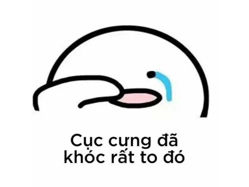 Lưu ngay top meme khóc hài hước không hề giả trân