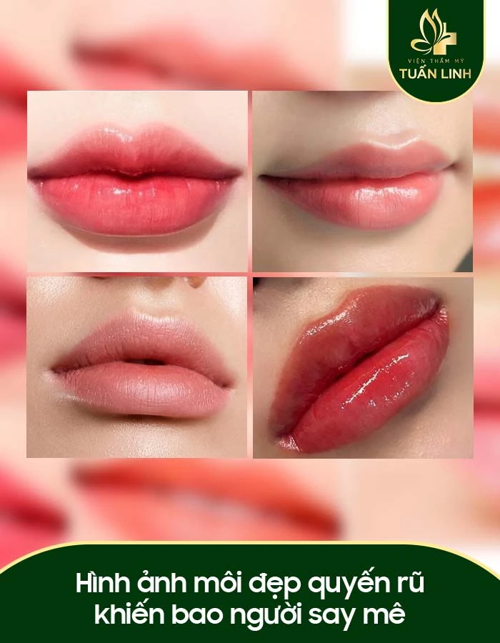 Khám Phá Ảnh Môi Đẹp Tạo Nên Vẻ Đẹp Khuôn Mặt