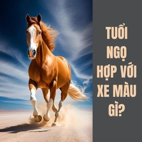 Tuổi Ngọ hợp màu gì? Tư vấn chọn màu hợp phong thủy với tuổi Ngọ