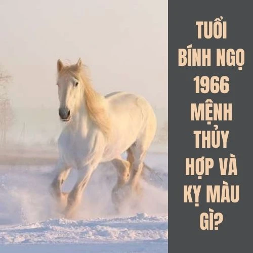 Tuổi Ngọ hợp màu gì? Tư vấn chọn màu hợp phong thủy với tuổi Ngọ