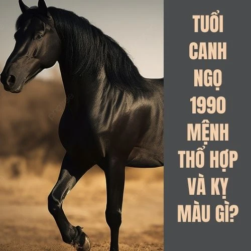 Tuổi Ngọ hợp màu gì? Tư vấn chọn màu hợp phong thủy với tuổi Ngọ