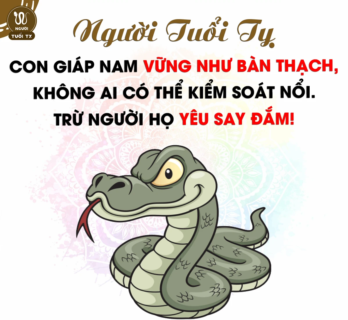 Tuổi Tỵ hợp màu gì, kỵ màu gì? Màu sắc phong thủy may mắn