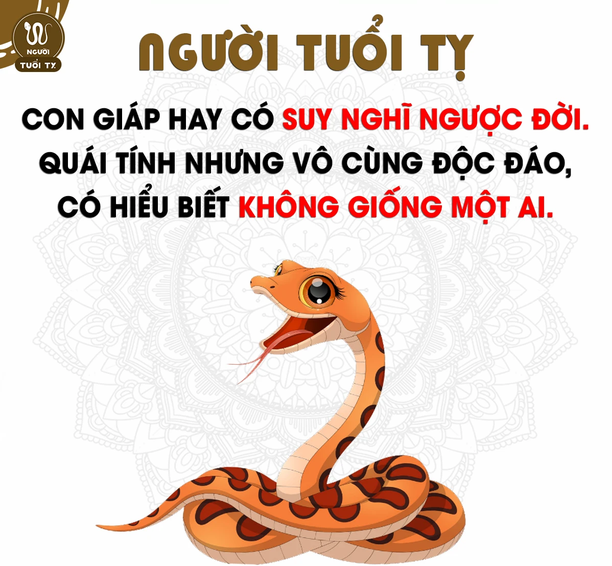 Tuổi Tỵ hợp màu gì, kỵ màu gì? Màu sắc phong thủy may mắn