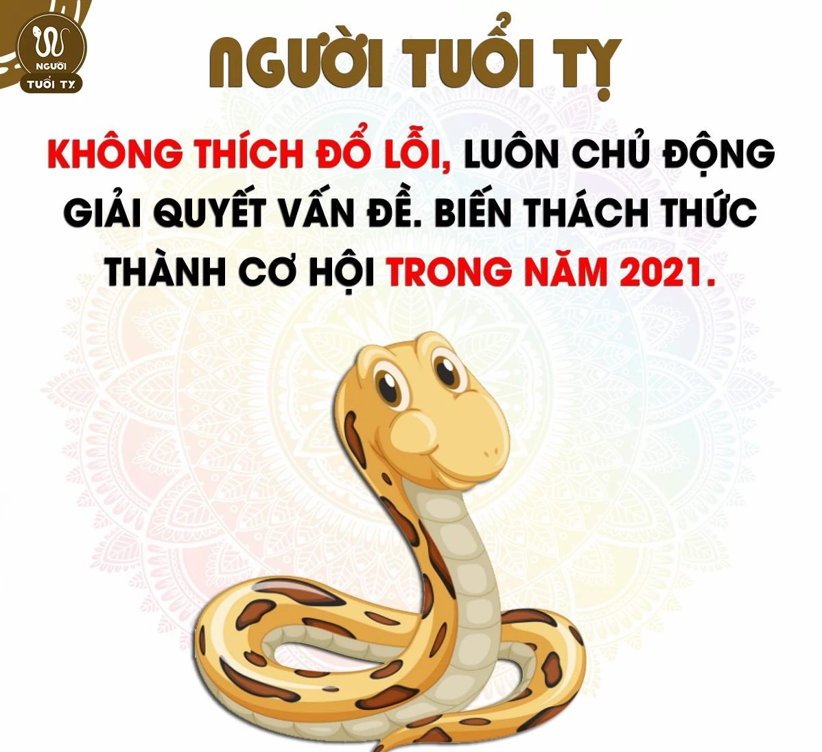 Tuổi Tỵ hợp màu gì, kỵ màu gì? Màu sắc phong thủy may mắn